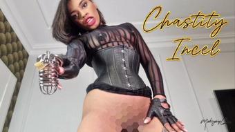 Pussy-Free Incel Tease & Humiliation (MahoganyQen)