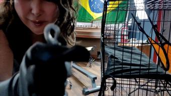 Humiliation roleplay (Real_36_dd)
