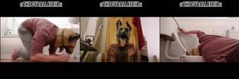 thedyballatrix 04 11 2018 15654231  (thedyballatrix)