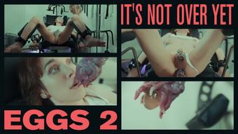 EGGS 2 - it's not over yet - April 26, 2025 (Emily Adaire TS)