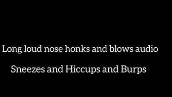 LONG LOUD HONKS SNEEZES AND NOSE BLOWING FLUTE LIKE AUDIO (Stormi Winters)