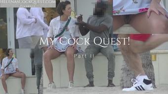 My Cock Quest 1 Pt2 - Flashing Strangers (Helenas Cock Quest)