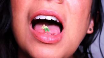 Vore Tease (Drea_xoxo)