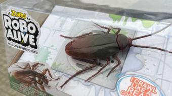 Cockroach unboxing + test :p - Jan 31, 2023 (Anna_Prince)