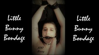 You POV Fuck Bunny While She's Bound - Jan 9, 2021 (LittleBunnyB)