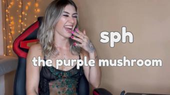 sph - the purple bubble - Mar 24, 2023 (Akali Lunar)