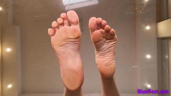 WantFeet - Ariya Soles On Glass - 4K Mp4 (WantFeet)