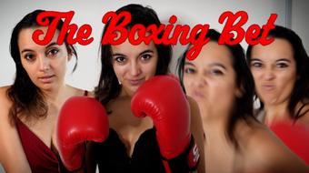 The Boxing Bet (Summer Fox)