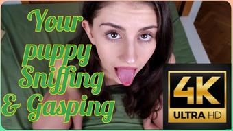 4K PUPPY SNIFFING & GASPING (Shanaxnow)