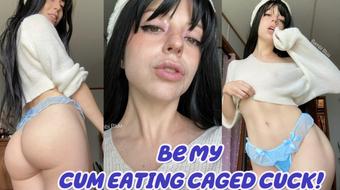 Be my CUCK CUM EATING CHASTITY SERVANT! - solo (Bambi Bluu)