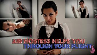 Air Hostess Helps You Through Your Flight (Summer Fox)