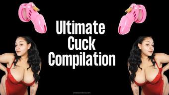 ULTIMATE CUCK COMPILATION - Dec 18, 2021 (Queenvixoxo)