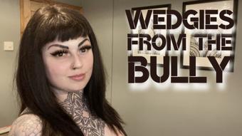 Wedgies From The Bully (MissValentina)