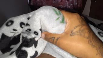 surprise under my sheet (Lola bbunny)