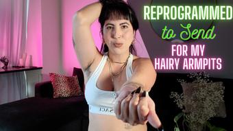 Reprogrammed to Send for Hairy Armpits (jadelussuria)