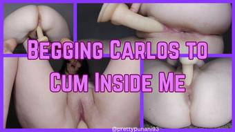 Begging Carlos to Cum for Me (Lizzymaestro)