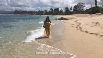 sofiarose 17914795 2020 04 15 walk with me on the beach..... (SofiaRose)