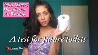 A test for future toilets (GoddessDri)
